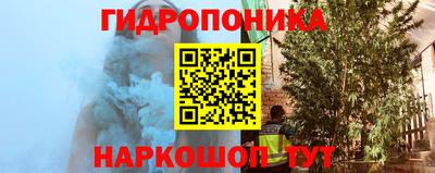 крисы Мариинск