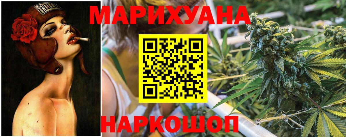 Шишки марихуана семена Горно-Алтайск